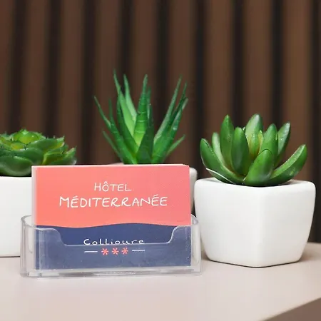 Mediterranee