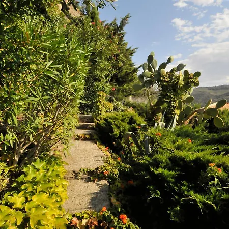 Mediterranee Collioure